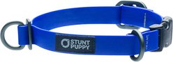 Stunt Puppy Dry Standard Dog Collar, Royal, Small