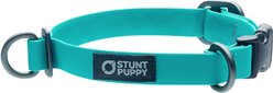 Stunt Puppy Dry Standard Dog Collar, Teal, Small