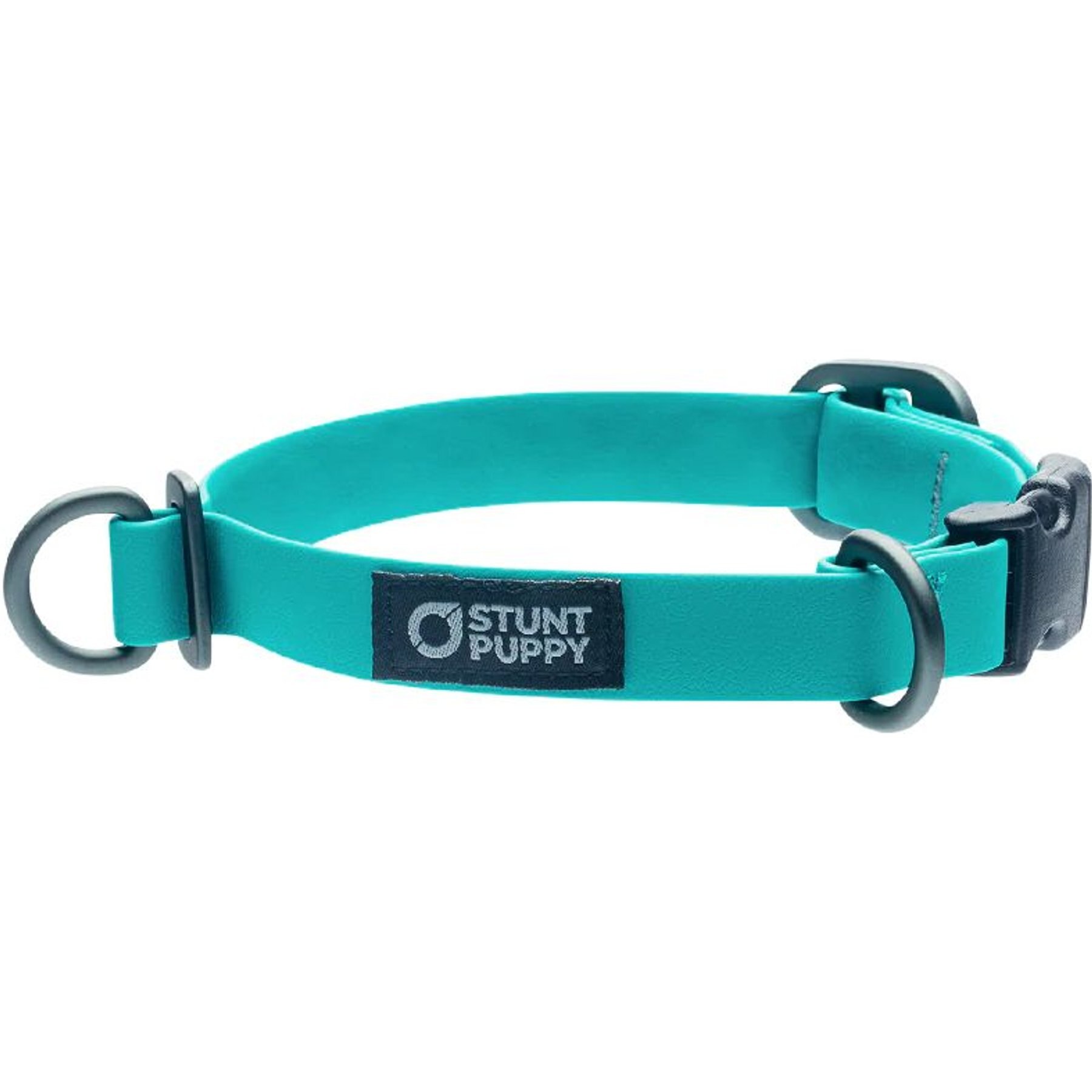 Stunt Puppy Dry Standard Dog Collar, Teal, Small