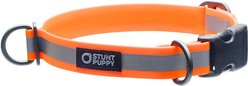Stunt Puppy Go Dog Glo Dry Standard Dog Collar, Orange, Medium