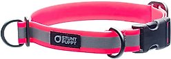 Stunt Puppy Go Dog Glo Dry Standard Dog Collar, Pink, Large