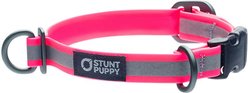 Stunt Puppy Go Dog Glo Dry Standard Dog Collar, Pink, Small