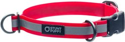 Stunt Puppy Go Dog Glo Dry Standard Dog Collar, Red, Medium