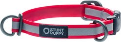 Stunt Puppy Go Dog Glo Dry Standard Dog Collar, Red, Small