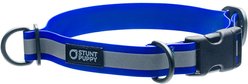 Stunt Puppy Go Dog Glo Dry Standard Dog Collar, Royal, Large