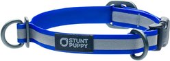 Stunt Puppy Go Dog Glo Dry Standard Dog Collar, Royal, Small