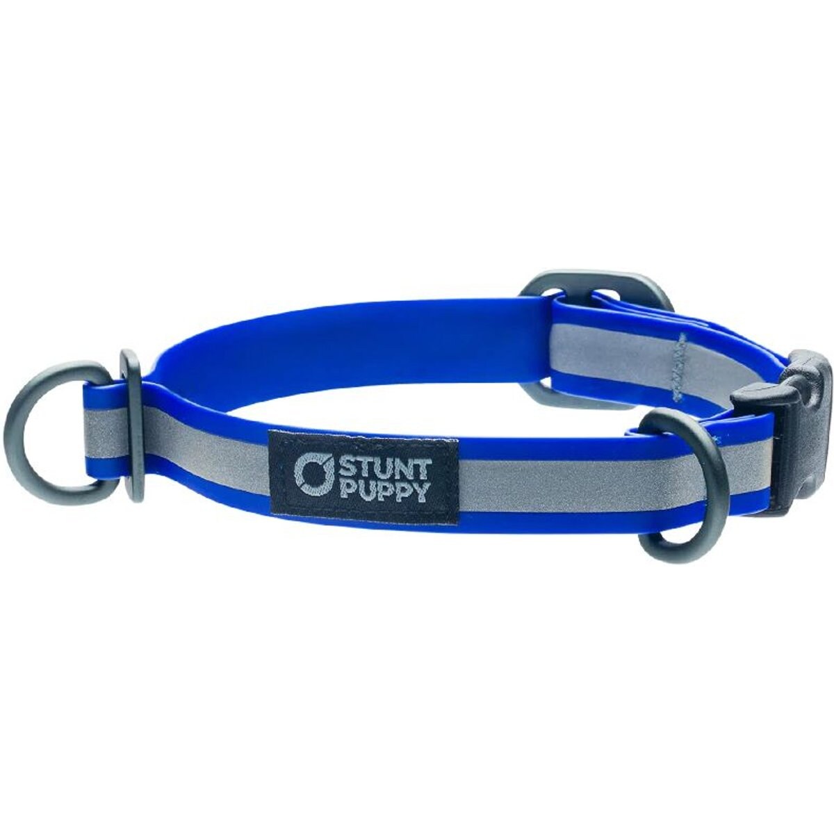 Stunt Puppy Go Dog Glo Dry Standard Dog Collar, Royal, Small