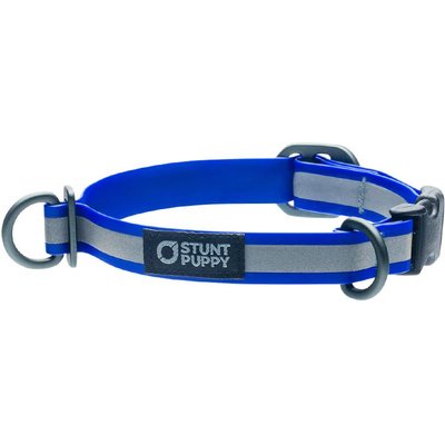 Stunt Puppy Stunt Puppy Go Dog Glo Dry Standard Dog Collar, Royal, Small