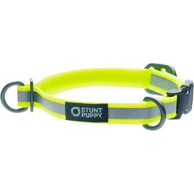 Stunt Puppy Stunt Puppy Go Dog Glo Dry Standard Dog Collar, Yellow, Small