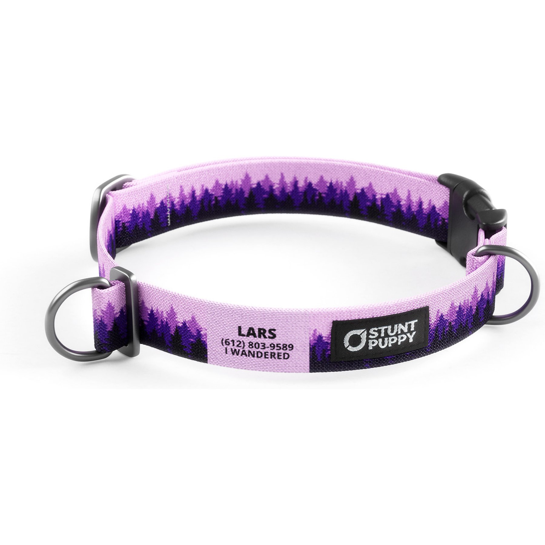 Stunt Puppy Wilderness Everyday Personalized Dog Collar with Custom ID, Pine Purple, Medium: 14 to 21-in neck, 1-in wide