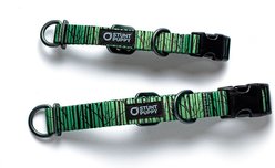 Stunt Puppy Wilderness Standard Dog Collar, Birch Green, Medium