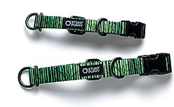 Stunt Puppy Wilderness Standard Dog Collar, Birch Green, Small