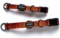Stunt Puppy Wilderness Standard Dog Collar, Birch Orange, Large