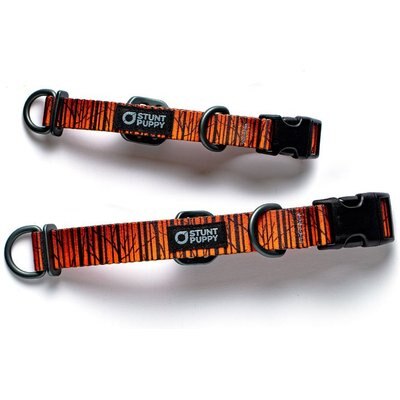 Stunt Puppy Stunt Puppy Wilderness Standard Dog Collar, Birch Orange, Large