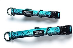 Stunt Puppy Wilderness Standard Dog Collar, Marsh Blue, Medium