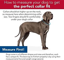 Sublime Adjustable Dog Collar, Blue Diamond Dots, Small: 8-12-in neck, 3/4-in wide slide 2 of 4