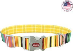 Sublime Adjustable Dog Collar, Sublime Stripe with Gold Plaid, Medium: 12-18-in neck, 1-in wide