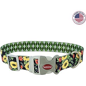Sublime Adjustable Dog Collar, Sunflower with Green Argyle, Small: 8-12-in neck, 3/4-in wide