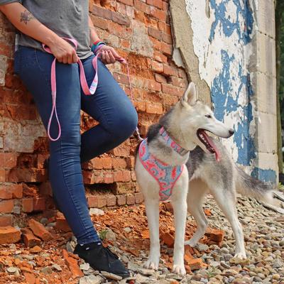Show full view: Sublime Dog Leash, Pink Tie Dye with Pink Arrows slide 4 of 8