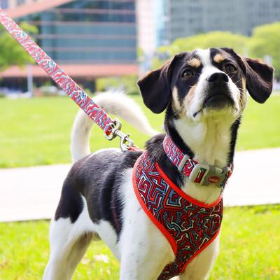 Show full view: Sublime Dog Leash, Red Blue Graffiti with Red Stars slide 5 of 7