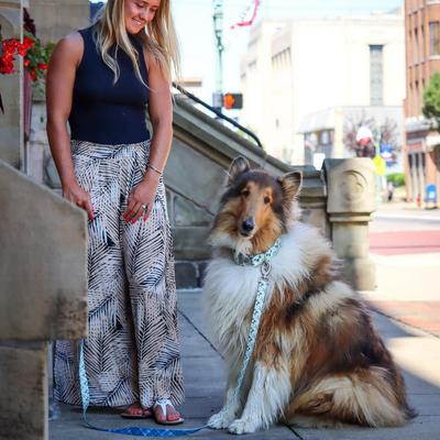 Show full view: Sublime Dog Leash, Red Blue Graffiti with Red Stars slide 6 of 7