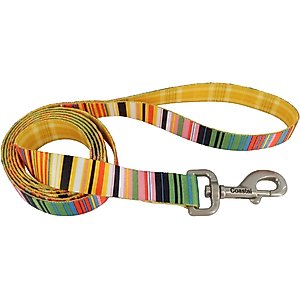 Sublime Dog Leash, Sublime Stripe with Gold Plaid