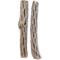 Show in main carousel: SubstrateSource Cholla Wood Aquarium & Terrarium Driftwood, 6-in, 2 count slide 2 of 4