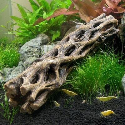 Show full view: SubstrateSource Cholla Wood Aquarium & Terrarium Driftwood, 6-in, 2 count slide 3 of 4