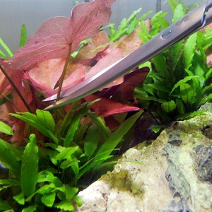 SubstrateSource Stainless Steel Aquarium Aquascaping Kit, 12-in