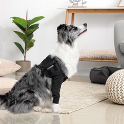 Suitical Recovery Double Sleeves Dog Apparel, Black, X-Small