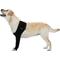 Show in main carousel: Suitical Recovery Sleeve for Dogs, Black, XX-Large slide 1 of 13