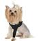 Show in main carousel: Suitical Recovery Sleeve for Dogs, Black, XXX-Small slide 1 of 13