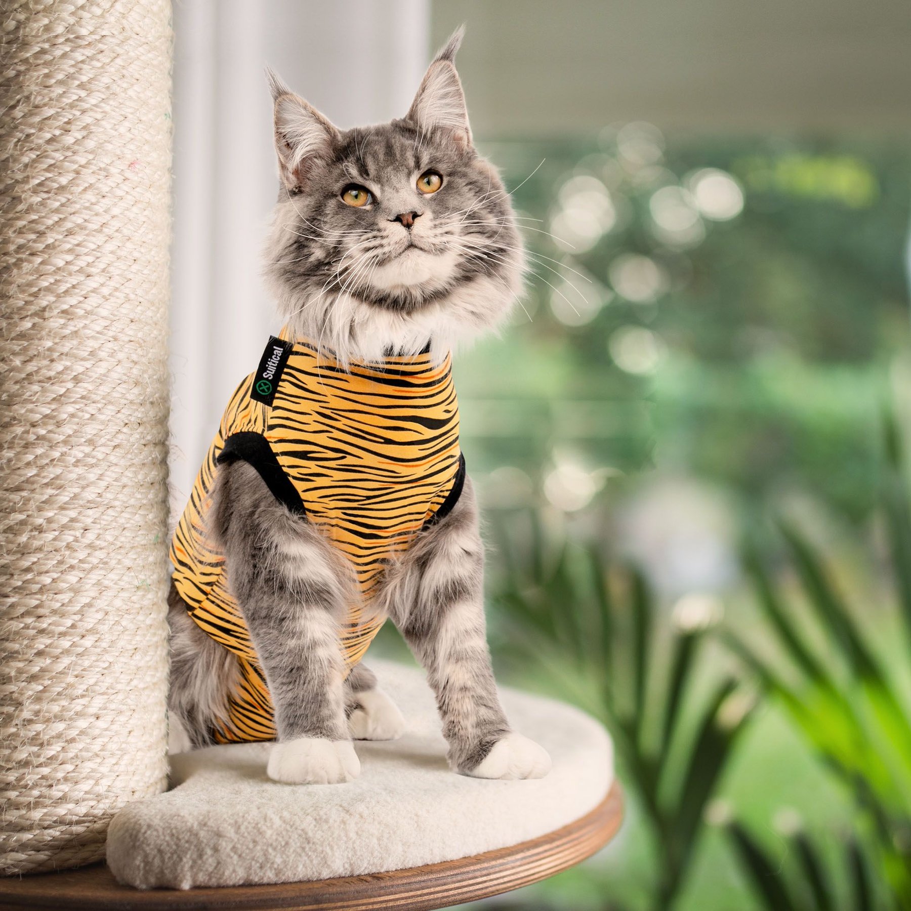 Suitical Recovery Suit Cat Apparel, Tiger Print, X-Small