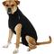Show in main carousel: Suitical Recovery Suit for Dogs, Black, X-Large slide 1 of 12