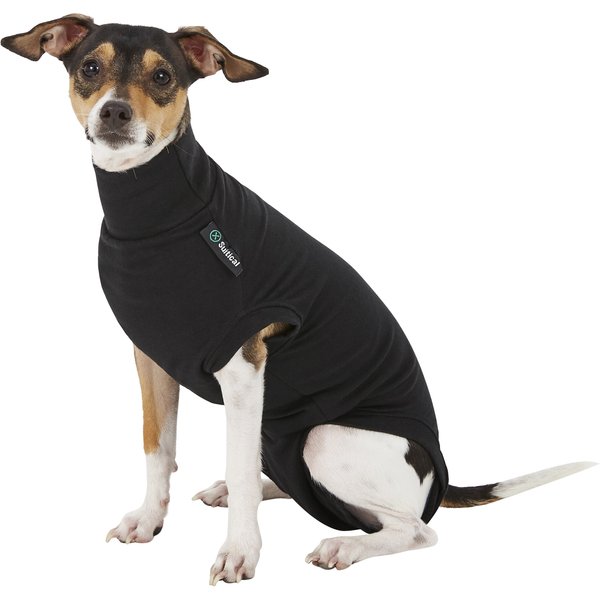Medipaw Recovery Protective Dog Suit