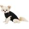 Show in main carousel: Suitical Recovery Suit for Dogs, Black, XX-Small slide 1 of 12
