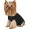 Show in main carousel: Suitical Recovery Suit for Dogs, Black, XXX-Small slide 1 of 12