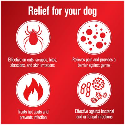 Show full view: Sulfodene 3-Way Ointment for Dogs, 2-fl oz & Adams Flea & Tick Home Spray, 24-fl oz bottle slide 5 of 9
