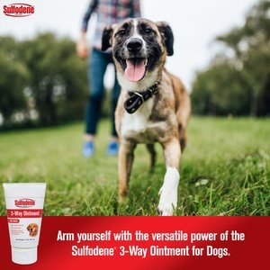 Sulfodene 3-Way Ointment for Dogs, 2-oz
