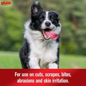 Sulfodene 3-Way Ointment for Dogs, 2-oz