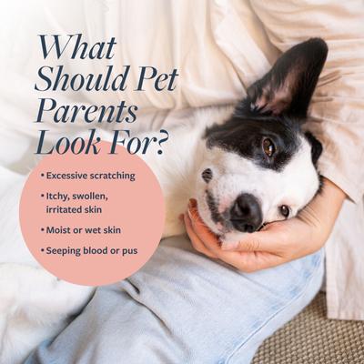 Show full view: Sulfodene 3-Way Ointment for Dogs + Veterinary Formula Clinical Care Hot Spot & Itch Relief Spray slide 9 of 9