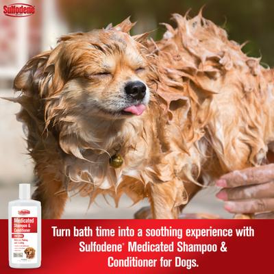 Show full view: Sulfodene Medicated Dog Shampoo & Conditioner, 12-fl oz slide 4 of 12