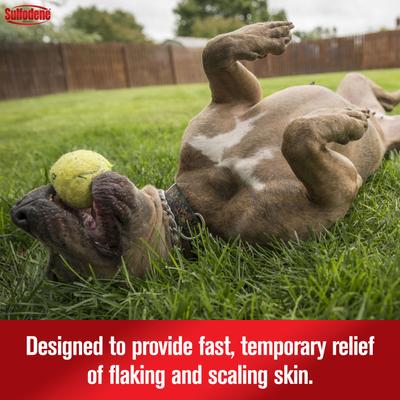 Show full view: Sulfodene Medicated Dog Shampoo & Conditioner, 12-fl oz slide 5 of 12