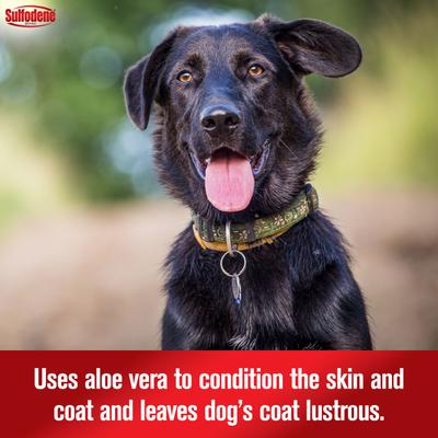 Show full view: Sulfodene Medicated Dog Shampoo & Conditioner, 12-fl oz slide 6 of 12