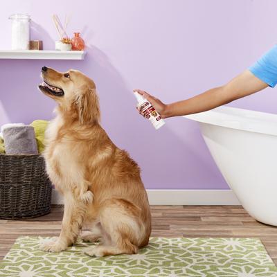 Show full view: Sulfodene Medicated Hot Spot & Itch Relief Spray for Dogs, 8-fl oz slide 7 of 9