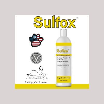 Show full view: Sulfox Dog Shampoo, 12-fl oz bottle slide 6 of 9