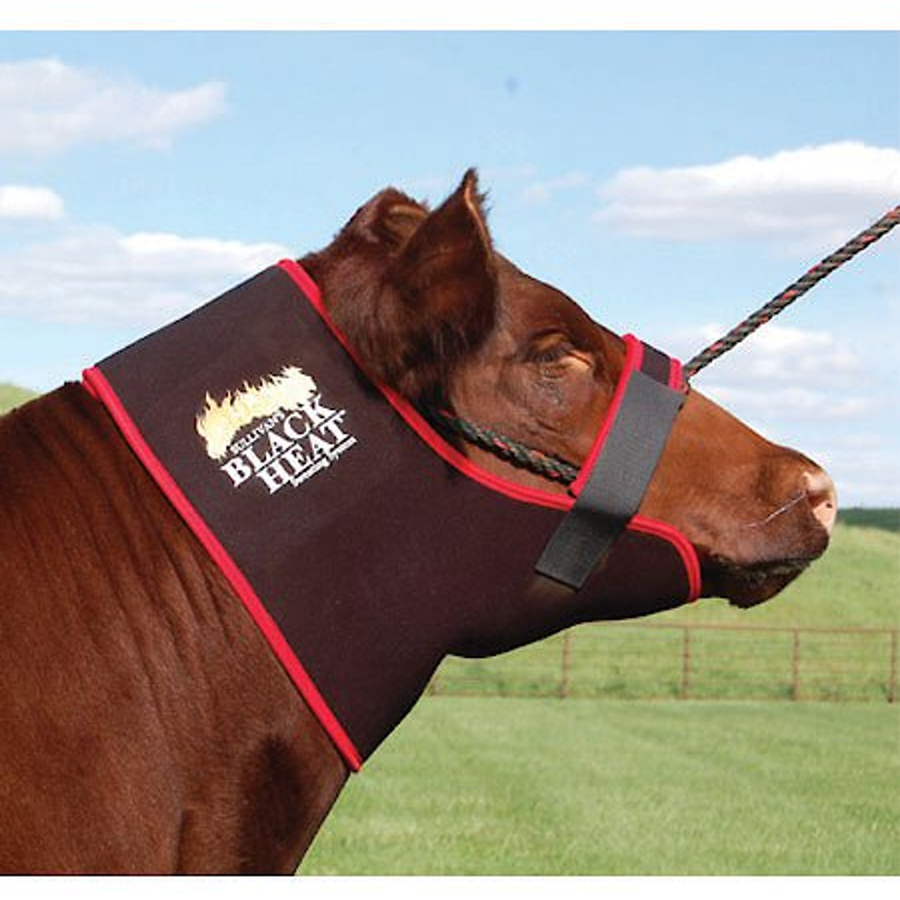Sullivan Supply Black Heat Farm Animal Neck Sweat, Medium