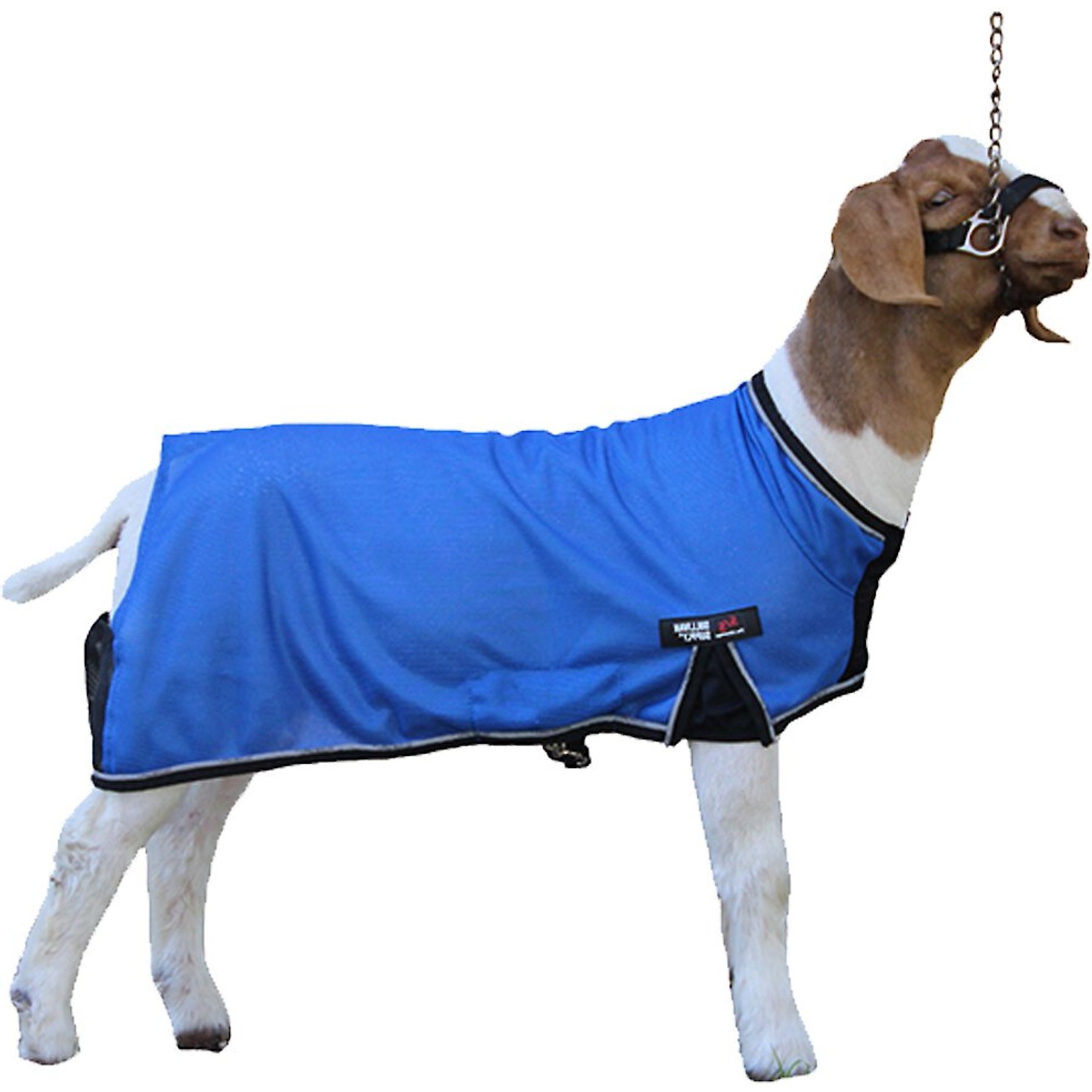 Sullivan Supply Cool Tech Goat Blankets, Blue, Large