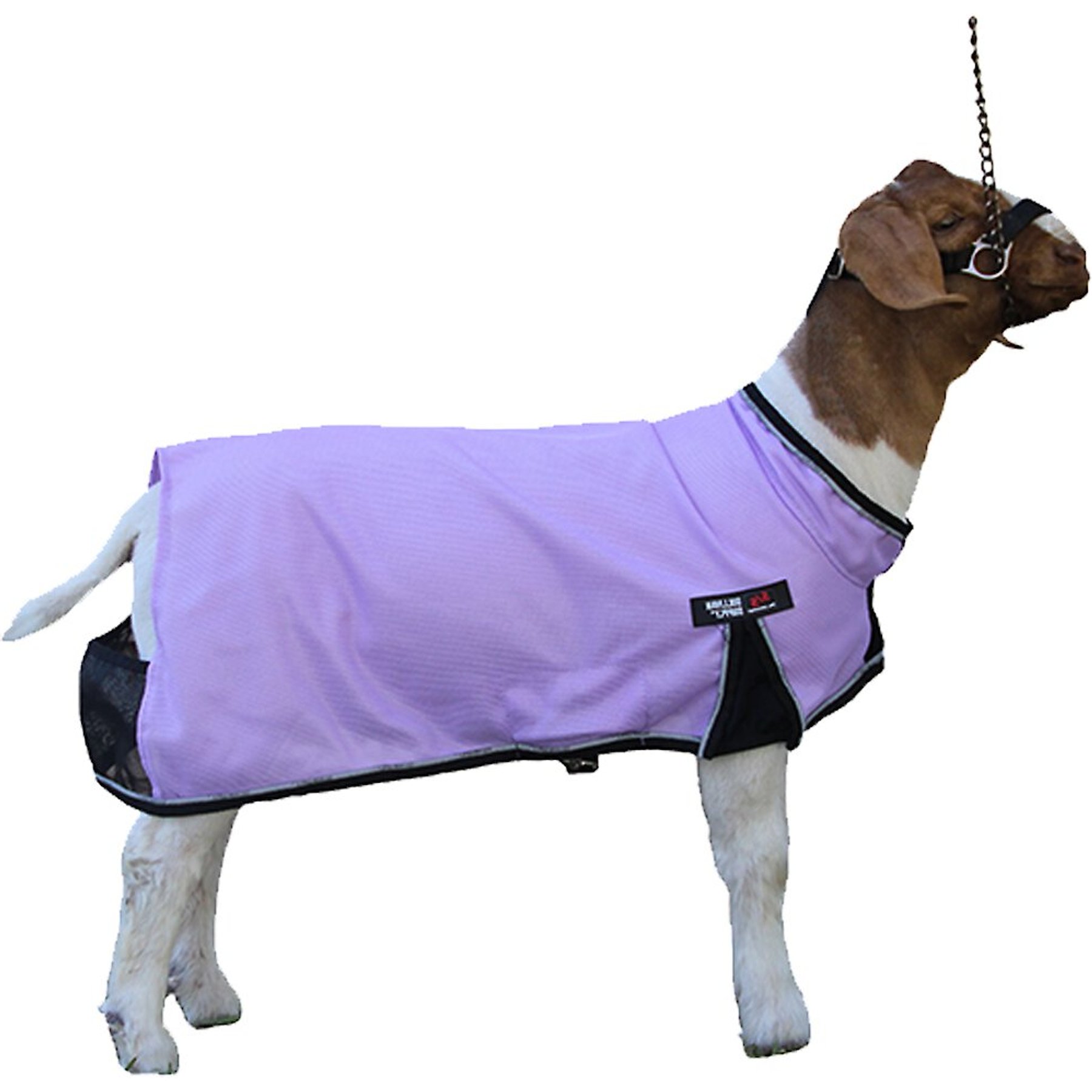 Sullivan Supply Cool Tech Goat Blankets, Purple, Medium
