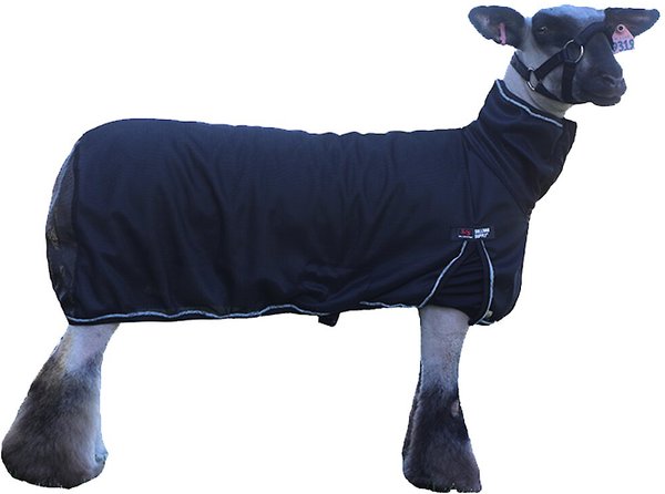 Show full view: Sullivan Supply Cool Tech Sheep Blanket, Black, Small slide 1 of 1